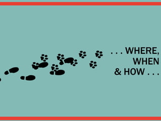 . . . WHERE,
WHEN
& HOW . . .
 