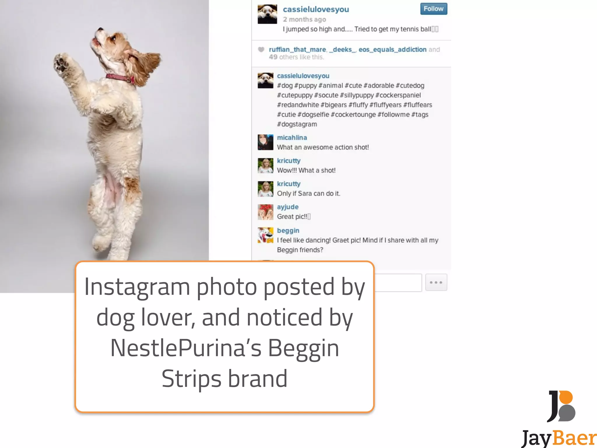 Instagram photo posted by 
dog lover, and noticed by 
NestlePurina’s Beggin 
Strips brand 
 