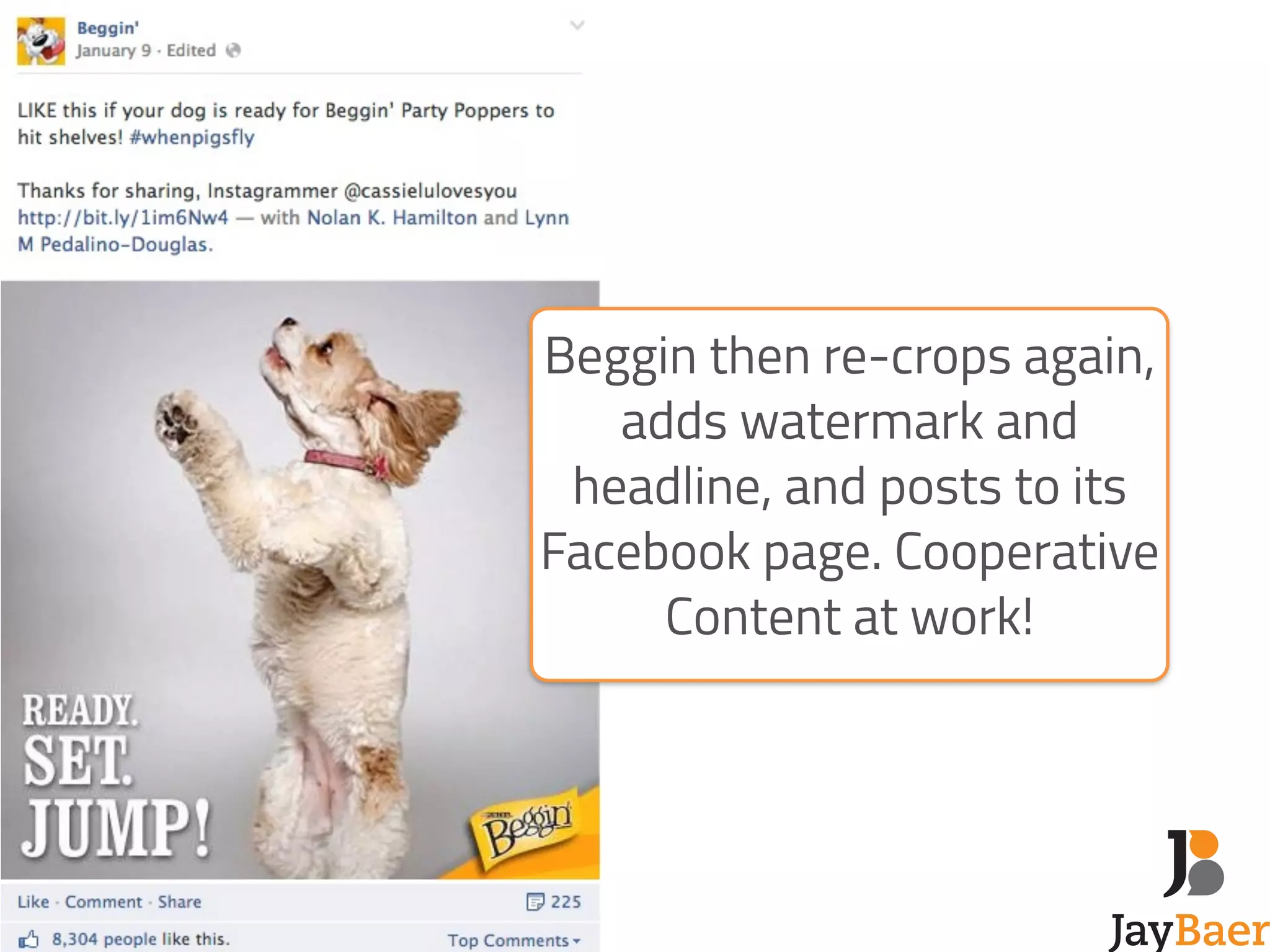Beggin then re-crops again, 
adds watermark and 
headline, and posts to its 
Facebook page. Cooperative 
Content at work! 
 