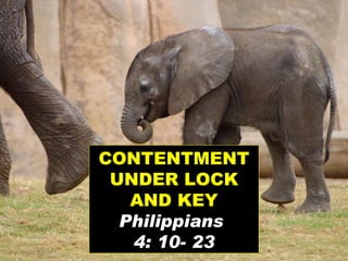 CONTENTMENT UNDER LOCK AND KEY Philippians  4: 10- 23 