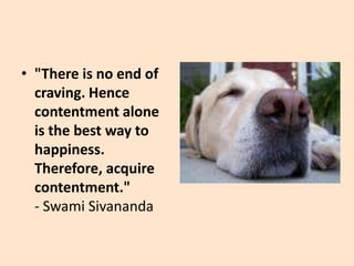 Contentment, Peace, Harmony