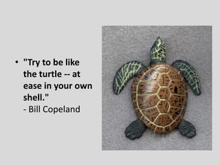 Contentment, Peace, Harmony