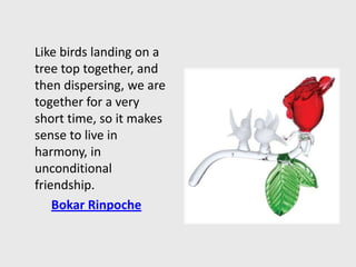 Contentment, Peace, Harmony