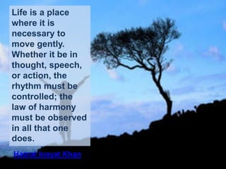 Contentment, Peace, Harmony