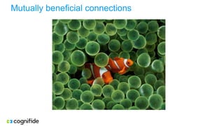 Mutually beneficial connections
 