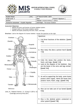 MENTARI INTERCULTURAL SCHOOL
IB MIDDLE YEARS PROGRAM
Assessment Objectives:
• Identify the parts and function of human skeleton system.
• Compare bones of the human skeleton system.
• Identify the bones protecting the brain, heart, and lungs.
Directions: Look at the diagram of a human skeleton. Answer the questions on the right.
Reference:
Jones, M., Fellowes-Freeman, D., & Sang, D. (2013). Cambridge Checkpoint Science Coursebook 7. United Kingdom:
Cambridge University Press 2013.
Student Name: CN 2nd
Term SY 2018 - 2019
Grade Level: 8 Date: Parent’s Signature
Section: Teacher: Armand Anthony L. Galicia
Formative Assessment - Graphic Organizer Unit/Topic: The Human Skeleton
Questions:
1. List three functions of the skeleton. [Level
1-2]
-----------------------------------------------------
-----------------------------------------------------
-----------------------------------------------------
2. How many ribs does a person have? [Level
1-2]
-----------------------------------------------------
-----------------------------------------------------
-----------------------------------------------------
3. Color the bones that protect the brain,
heart, and lungs. [Level 1-2]
4. Look at the diagram of the skeleton. How
are the bones in the arms and legs similar?
[Level 3-4]
-----------------------------------------------------
-----------------------------------------------------
-----------------------------------------------------
5. As well as supporting the body, some bones
protect other organs. Name the bones that
protect: brain, heart, lungs. [Level 3-4]
-----------------------------------------------------
-----------------------------------------------------
-----------------------------------------------------
6. How can we take care of our bones? [Level
5-6]
-----------------------------------------------------
-----------------------------------------------------
-----------------------------------------------------
7. How is the skeletal system connected to
other system? [Level 7-8]
 
