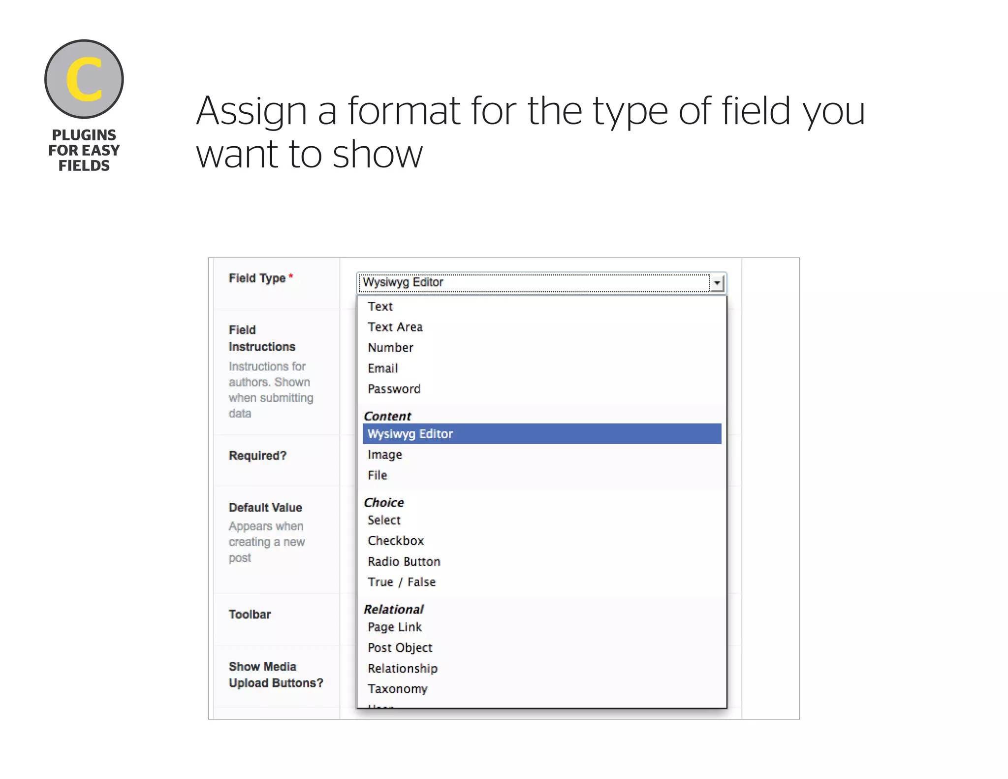C
B
plugins
for easy
fields

Assign a format for the type of field you
want to show

 