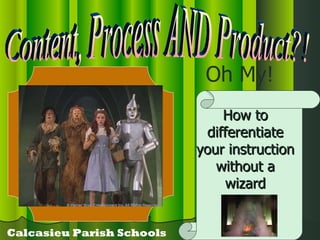 Content, Process AND Product?! Oh My! Calcasieu Parish Schools How to differentiate your instruction without a wizard 