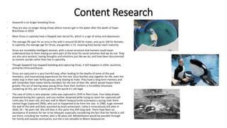 Content Research
- Seaworld is no longer breeding Orcas
- They are also no longer doing shows where trainers get in the water after the death of Dawn
Brancheau in 2010
- Most Orcas in captivity have a flopped over dorsal fin, which is a sign of stress and depression
- The average life span for an orca in the wild is around 50-60 for males, and up to 100 for females.
In captivity, the average age for Orcas, any gender, is 15, meaning they barely reach maturity.
- Orcas are incredibily intelligent animals, with a social structure that humans could never
understand due to them having an extra part of the brain for social activities that we do not. They
are also very sentient, having thoughts and emotions just like we do, and have been documented
to commit suicide rather than live in captivitiy.
- Though Seaworld has stopped breeding and capturing Orcas, it still happens in other countries,
primarily China and Russia.
- Orcas are captured in a very harmful way, often leading to the deaths of some of the pod
members, and traumatising experiences for the rest. Orca families stay together for life, even the
males stay in their own family groups, only leaving to mate. They have a long term memory and
will remember their stolen family members for the rest of their life, which would impact them
greatly. The act of tearing away young Orcas from their mothers is incredibly inhumane
cosidering all this, yet in some parts of the world it’s still legal.
- The case of Lolita is very popular. Lolita was captured in 1970 in Penn Cove. Four baby whales
drowned during this capture, and one mother drowned while trying to reach her captured calf.
Lolita was 4-6 years old, and was sold to Miami Seaquariumto acompany a young male there
named Hugo (captured 1966), who just so happened to be from her clan. In 1980, huge rammed
the wall of the tank and died, assumed by brain anneurysm. Lolita is miraculously still alive in
2020, 54 – 56 years old. She still lives in the same tiny 35ft long tank. There have been an
abundance of protests for her to be released, especially considering the fact that her family is still
out there, including her mother, who is 90 years old. Rehabilitation would be possible through
her family and seaside sanctuaries, but she is too valuable to Miami Seaquarium.
 