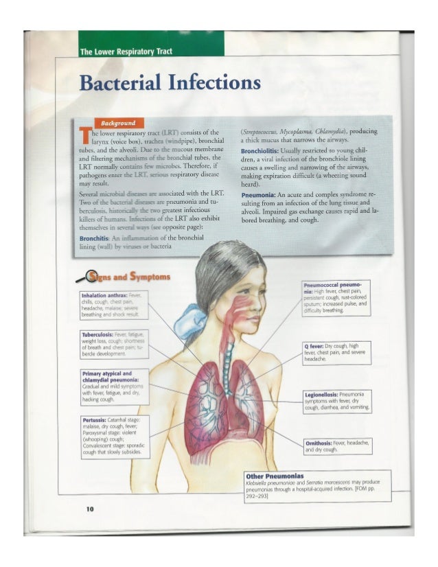 infectious diseases by body systems infectious diseases by body systems, Muscles