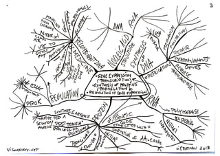 Biochemistry lieberman 2013