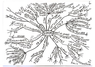 Biochemistry lieberman 2013