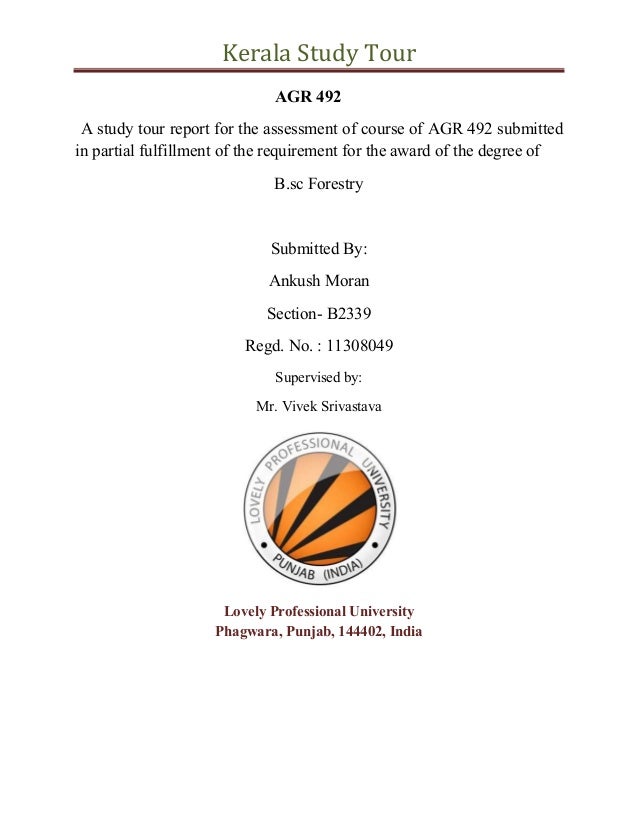 tips writing research paper day