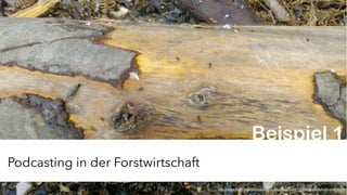 JProf. Dr. Mandy Rohs | TU Kaiserslautern | Fachgebiet Pädagogik | Juniorprofessur für Pädagogik mit Schwerpunkt Schulentwicklung | 3http://www.flickr.com/photos/library_mistress/8748719994/sizes/h/in/photostream/
Podcasting in der Forstwirtschaft
Beispiel 1
 