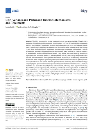 Citation: Smith, L.; Schapira, A.H.V.
GBA Variants and Parkinson Disease:
Mechanisms and Treatments. Cells
2022, 11, 1261. https://doi.org/
10.3390/cells11081261
Academic Editor: Thorsten
R. Doeppner
Received: 15 March 2022
Accepted: 5 April 2022
Published: 8 April 2022
Publisher’s Note: MDPI stays neutral
with regard to jurisdictional claims in
published maps and institutional affil-
iations.
Copyright: © 2022 by the authors.
Licensee MDPI, Basel, Switzerland.
This article is an open access article
distributed under the terms and
conditions of the Creative Commons
Attribution (CC BY) license (https://
creativecommons.org/licenses/by/
4.0/).
cells
Review
GBA Variants and Parkinson Disease: Mechanisms
and Treatments
Laura Smith 1,2 and Anthony H. V. Schapira 1,2,*
1 Department of Clinical and Movement Neurosciences, Institute of Neurology, University College London,
London NW3 2PF, UK; laura.j.smith@ucl.ac.uk
2 Aligning Science Across Parkinson’s (ASAP) Collaborative Research Network, Chevy Chase, MD 20815, USA
* Correspondence: a.schapira@ucl.ac.uk
Abstract: The GBA gene encodes for the lysosomal enzyme glucocerebrosidase (GCase), which
maintains glycosphingolipid homeostasis. Approximately 5–15% of PD patients have mutations in
the GBA gene, making it numerically the most important genetic risk factor for Parkinson disease
(PD). Clinically, GBA-associated PD is identical to sporadic PD, aside from the earlier age at onset
(AAO), more frequent cognitive impairment and more rapid progression. Mutations in GBA can
be associated with loss- and gain-of-function mechanisms. A key hallmark of PD is the presence
of intraneuronal proteinaceous inclusions named Lewy bodies, which are made up primarily of
alpha-synuclein. Mutations in the GBA gene may lead to loss of GCase activity and lysosomal dys-
function, which may impair alpha-synuclein metabolism. Models of GCase deficiency demonstrate
dysfunction of the autophagic-lysosomal pathway and subsequent accumulation of alpha-synuclein.
This dysfunction can also lead to aberrant lipid metabolism, including the accumulation of gly-
cosphingolipids, glucosylceramide and glucosylsphingosine. Certain mutations cause GCase to be
misfolded and retained in the endoplasmic reticulum (ER), activating stress responses including
the unfolded protein response (UPR), which may contribute to neurodegeneration. In addition to
these mechanisms, a GCase deficiency has also been associated with mitochondrial dysfunction and
neuroinflammation, which have been implicated in the pathogenesis of PD. This review discusses
the pathways associated with GBA-PD and highlights potential treatments which may act to target
GCase and prevent neurodegeneration.
Keywords: Parkinson disease; GBA; alpha-synuclein; autophagy; unfolded protein response; lipids
1. Introduction
Parkinson disease (PD) is the second most common neurodegenerative disorder, af-
fecting over 3% of the population aged over 65 years. The disease is characterised by the
progressive loss of dopaminergic neurons in the substantia nigra pars compacta (SNpc) and
the presence of intraneuronal proteinaceous inclusions, named Lewy bodies [1]. Towards
the end of the 20th century, reports began to emerge associating the lysosomal storage
disorder Gaucher disease (GD) with PD [2,3]. GD is an inherited disorder caused by
homozygous mutations in the GBA gene, which encodes glucocerebrosidase (GCase), a
lysosomal hydrolase enzyme which catalyses the catabolism of glucosylceramide (GlcCer)
and glucosylsphingosine (GlcSph) [4]. Since then, several large cohort studies have further
investigated the link between GBA mutations and the risk of developing PD [5–8]. Ap-
proximately 5–15% of PD patients have GBA mutations, making them the most important
genetic risk factor for PD, occurring more frequently than other genes associated with
familial PD including LRRK2, SNCA and PARK2 [7].
Over 300 pathogenic GBA mutations have been identified [9,10]. These have been
associated with loss- and gain-of-function mechanisms. A persistent lack of GCase activity
may influence the autophagic-lysosomal pathway (ALP) and has been associated with
Cells 2022, 11, 1261. https://doi.org/10.3390/cells11081261 https://www.mdpi.com/journal/cells
 
