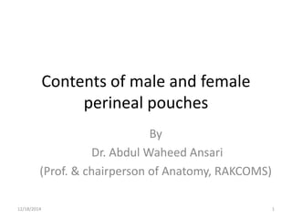 Contents of male and female
perineal pouches
By
Dr. Abdul Waheed Ansari
(Prof. & chairperson of Anatomy, RAKCOMS)
12/18/2014 1
 