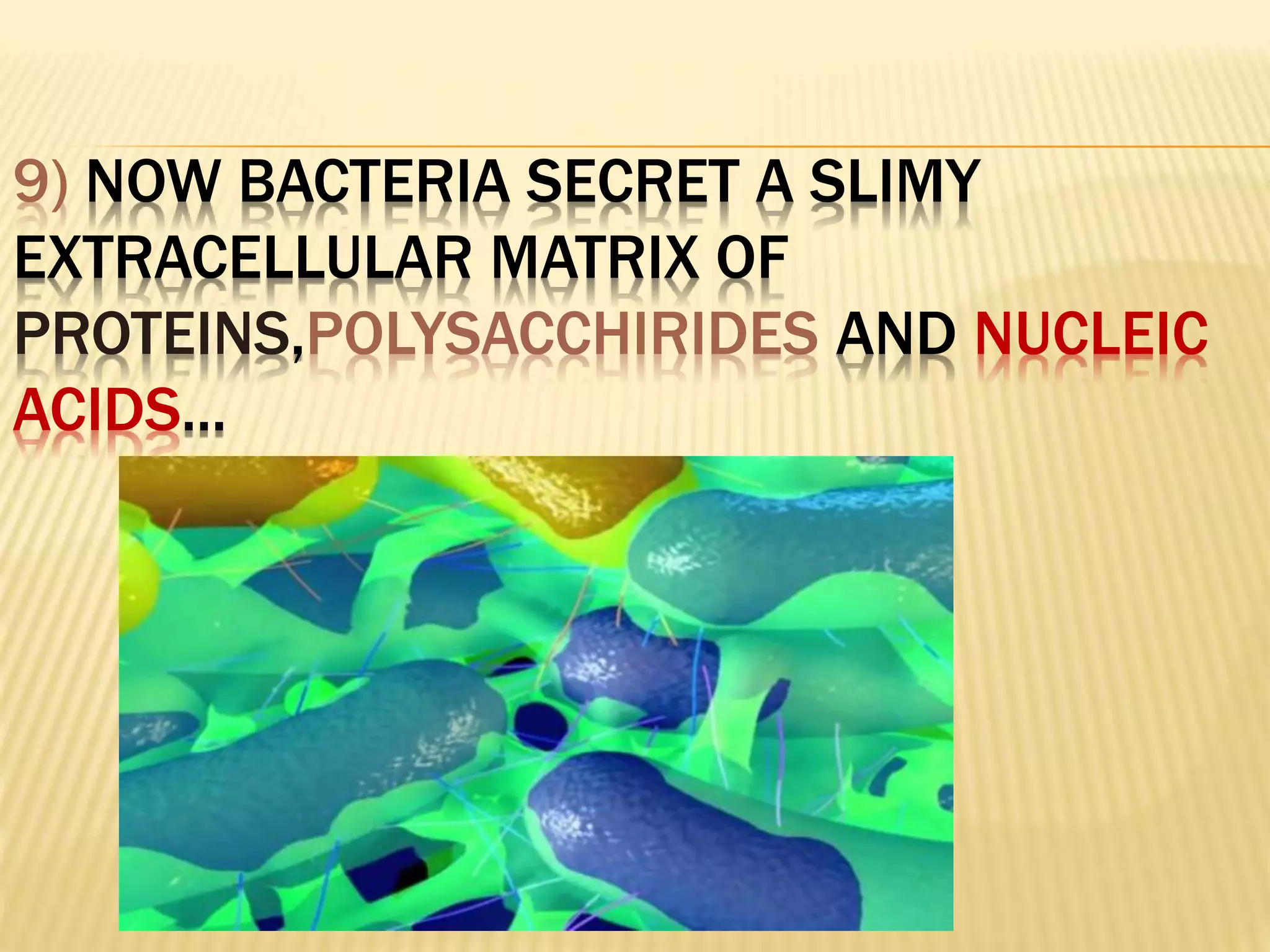 Microorganisms Secret URBAS ASHIQ presentation on bacterial biofilms | PPTX