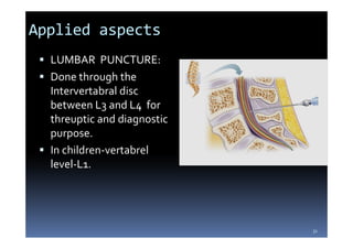 Contents of vertebral canal and its applied aspects mbbs | PDF