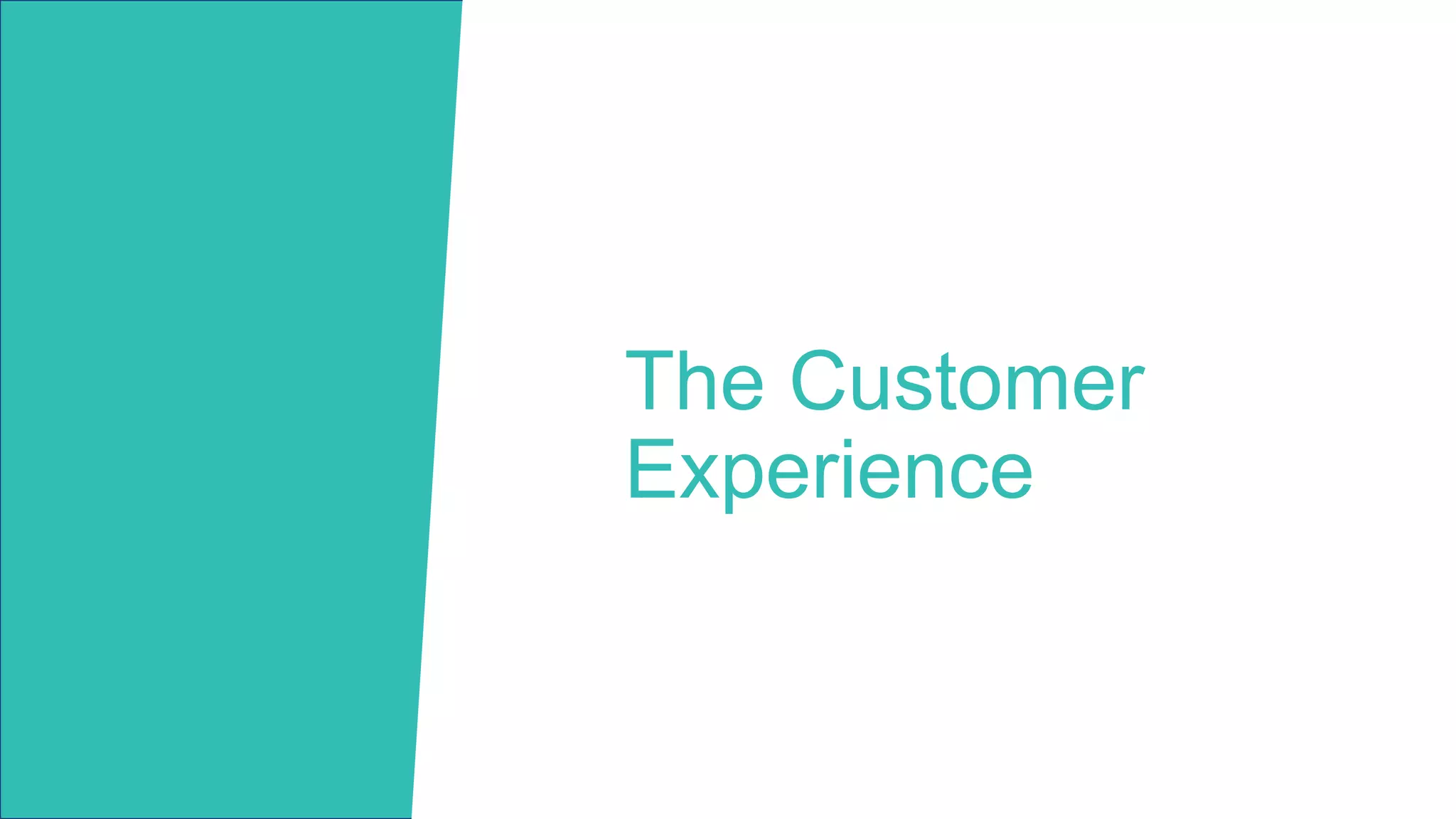 The Customer
Experience
 