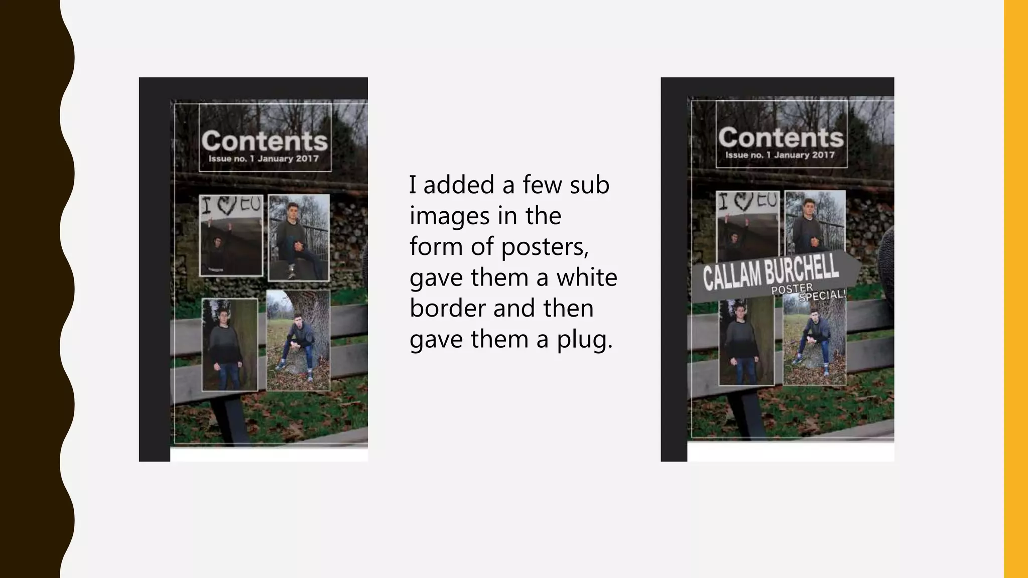 I added a few sub
images in the
form of posters,
gave them a white
border and then
gave them a plug.