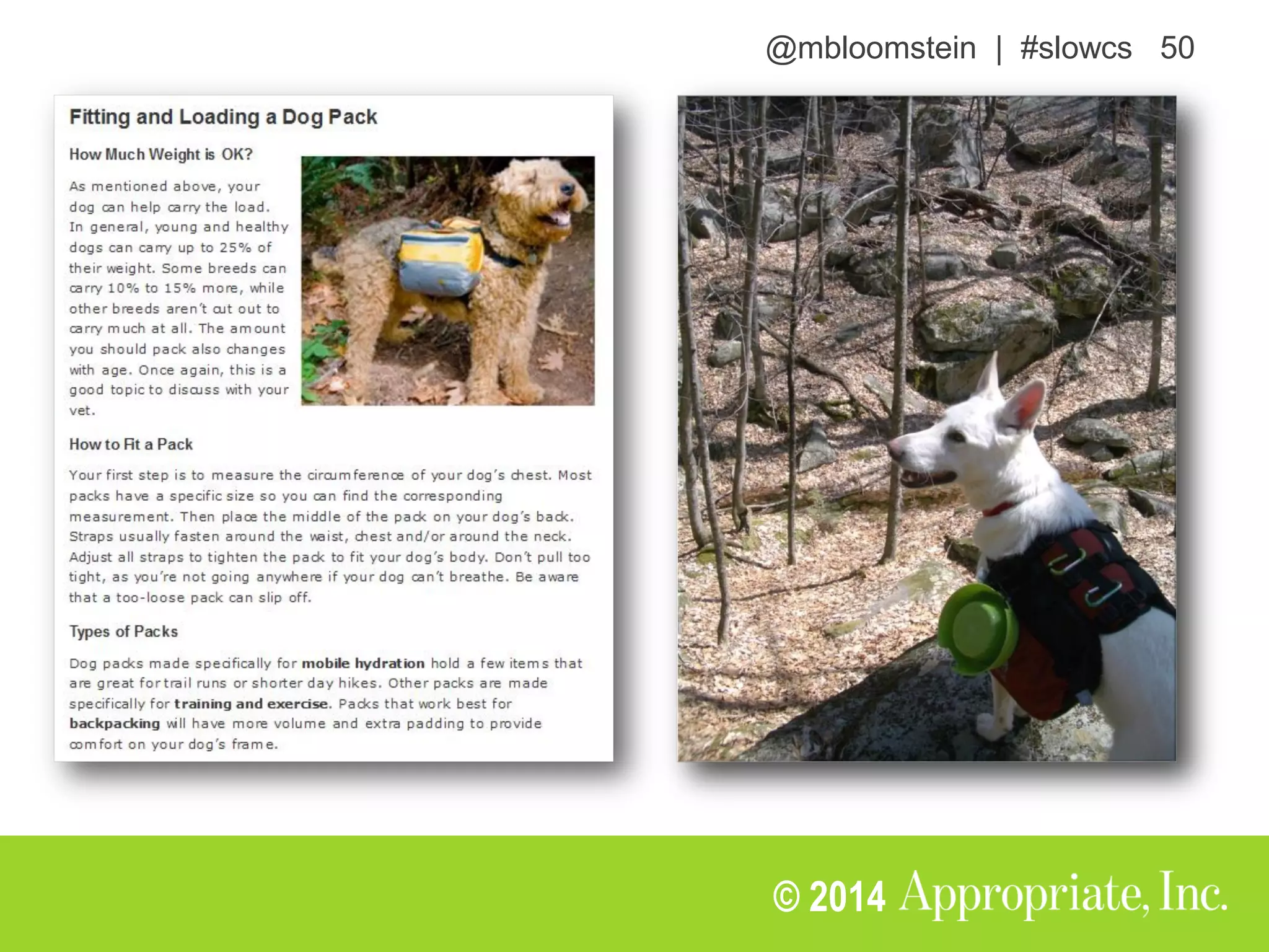 @mbloomstein | #slowcs 50
© 2014
 