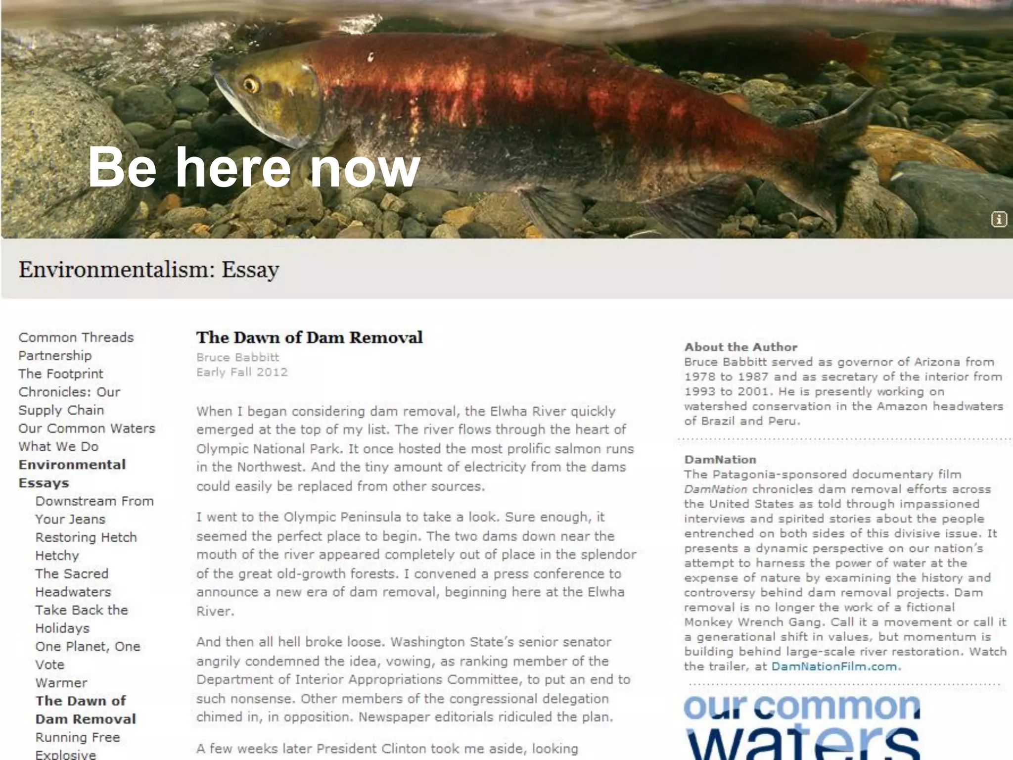 @mbloomstein | #slowcs 64
© 2014
Be here now
 