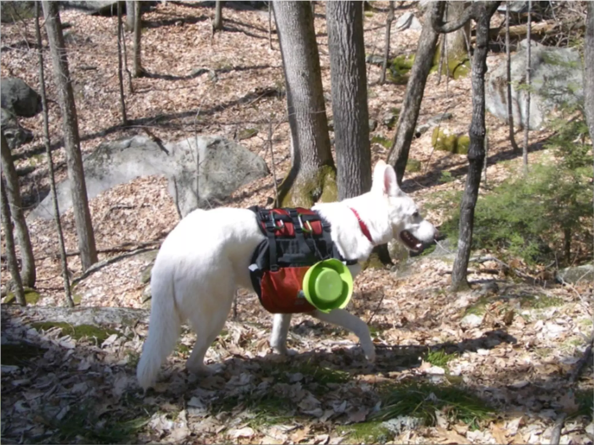 @mbloomstein | #uxlx 55
© 2014
 