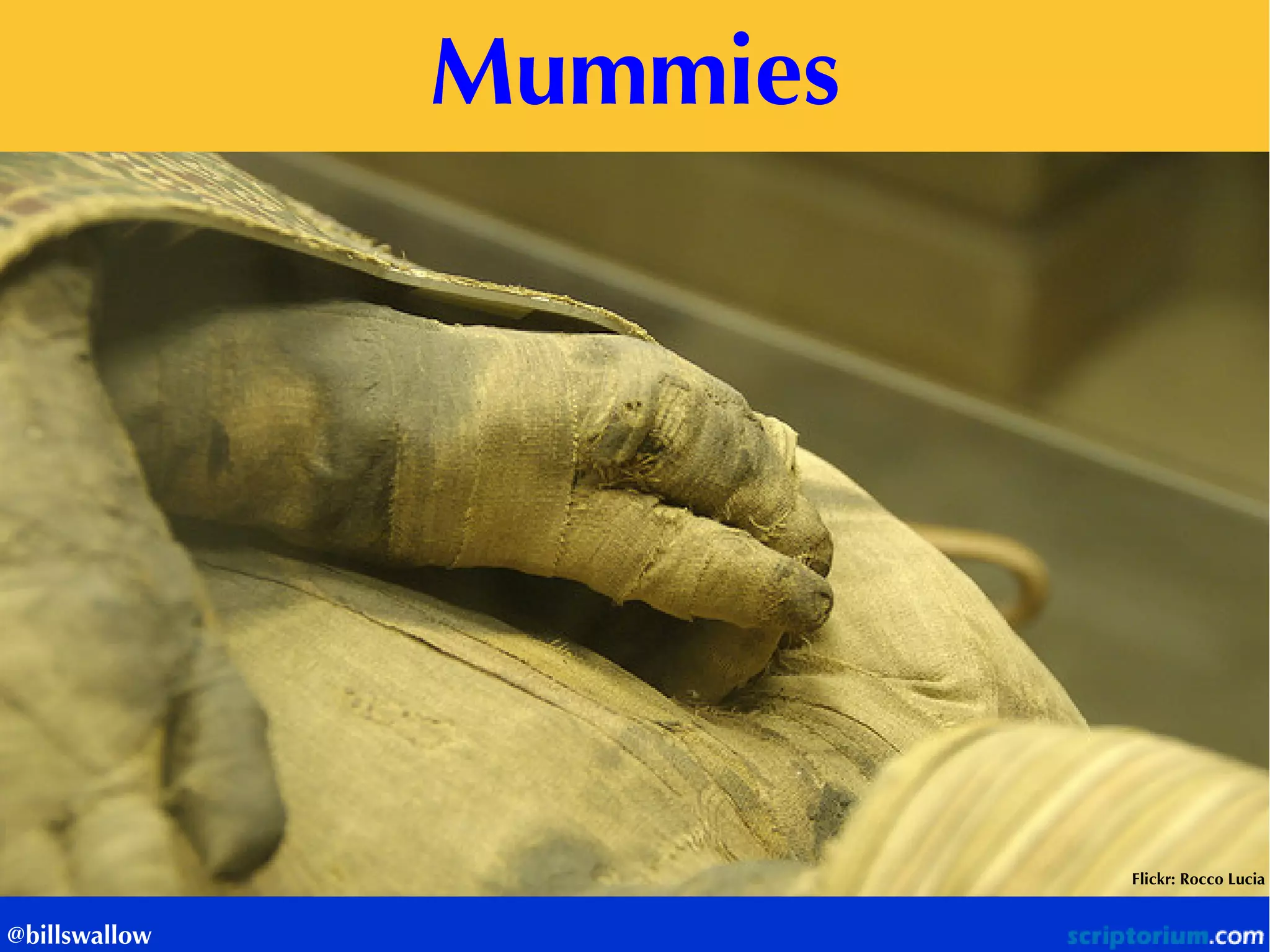 Mummies 
Flickr: Rocco Lucia 
@billswallow  