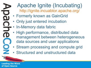 Apache Ignite (Incubating) 
http://ignite.incuabtor.apache.org/ 
• Formerly known as GainGrid 
• Only just entered incubat...
