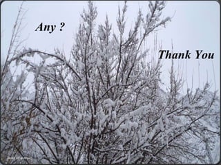 Any ?

                                        Thank You




Javed Iqbal Anjum           Your Logo
 