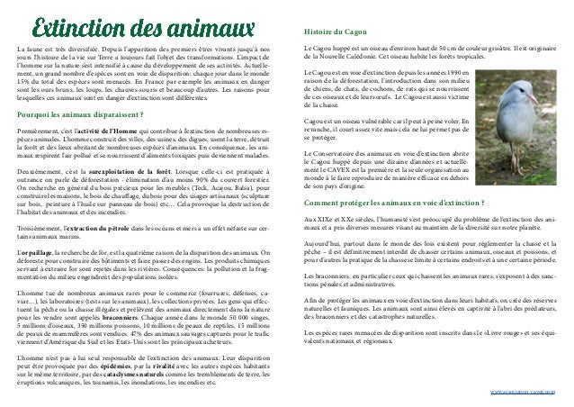 Contenu Pedagogique Extinction Des Animaux