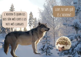 llop, tu saps què
és l'hivern?
l'hivern és quan els
dies són més curts i les
nits més llargues
 