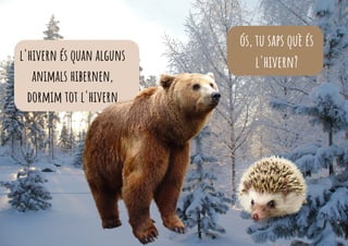 ós, tu saps què és
l'hivern?
l'hivern és quan alguns
animals hibernen,
dormim tot l'hivern
 