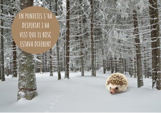 EN PUNXETES S'HA
DESPERTAT I HA
VIST QUE EL BOSC
ESTAVA DIFERENT
 