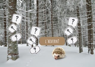 l'hivern?
 