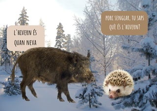 porc senglar, tu saps
què és l'hivern?
l'hivern és
quan neva
 