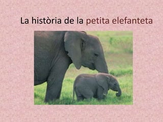 La història de la petita elefanteta 
 