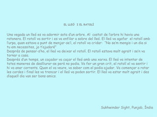 Sukhwinder Sight, Punjab, Índia EL LLEÓ  I EL RATOLÍ Una vegada un lleó es va adormir sota d’un arbre. Al  costat de l’arbre hi havia una ratonera. El ratolí va sortir i es va enfilar a sobre del lleó. El lleó va agafar  el ratolí amb l’urpa, quan estava a punt de menjar-se’l, el ratolí va cridar:  “No se’m mengis i un dia si tu em necessites, jo t’ajudaré”  Després de pensar-s’ho, el lleó va deixar el ratolí. El ratolí estava molt agraït i se’n va tornar a casa. Després d’un temps, un caçador va caçar el lleó amb una xarxa. El lleó va intentar de totes maneres de deslliurar-se però no podia. Va fer un gran crit, el ratolí el va sentir i hi va anar corrents. Quan el va veure, va saber com el podia ajudar. Va començar a ratar les cordes i final les va trencar i el lleó va poden sortir. El lleó va estar molt agraït i des d’aquell dia van ser bons amics . 