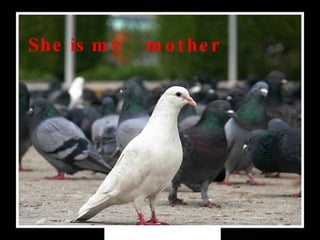 She is my  mother   