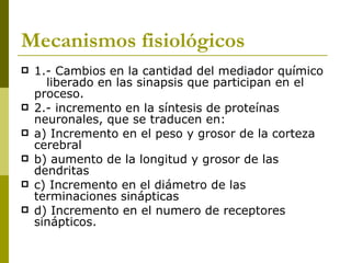 Mecanismos fisiológicos 1.- Cambios en la cantidad del mediador químico  liberado en las sinapsis que participan en el proceso. 2.- incremento en la síntesis de proteínas neuronales, que se traducen en:  a) Incremento en el peso y grosor de la corteza cerebral b) aumento de la longitud y grosor de las dendritas c) Incremento en el diámetro de las terminaciones sinápticas d) Incremento en el numero de receptores  sinápticos. 
