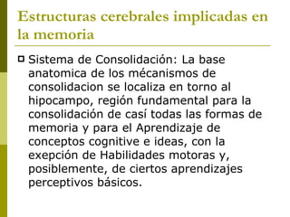 Estructuras cerebrales implicadas en la memoria Sistema de Consolidación: La base anatomica de los mécanismos de consolidacion se localiza en torno al hipocampo, región fundamental para la consolidación de casí todas las formas de memoria y para el Aprendizaje de conceptos cognitive e ideas, con la exepción de Habilidades motoras y, posiblemente, de ciertos aprendizajes perceptivos básicos. 