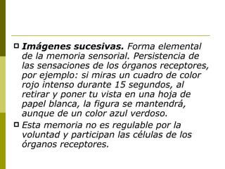 Imágenes sucesivas.  Forma elemental de la memoria sensorial. Persistencia de las sensaciones de los órganos receptores, por ejemplo: si miras un cuadro de color rojo intenso durante 15 segundos, al retirar y poner tu vista en una hoja de papel blanca, la figura se mantendrá, aunque de un color azul verdoso. Esta memoria no es regulable por la voluntad y participan las células de los órganos receptores. 