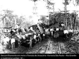 Descarrilhamento em meio a Floresta de Araucária –Ferrovia São Paulo – Rio Grande-
e madeireira Lumber- SC –
 