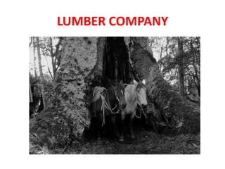 LUMBER COMPANY
 