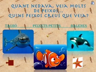 Quant nedava, veia molts de peixos… Quins peixos creus que veia? Tauró                   Peixets petits             Balenes 