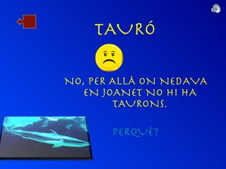 TAURÓ NO, PER ALLÀ ON NEDAVA EN JOANET NO HI HA TAURONS. PERQUÈ? 