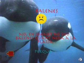 BALENES NO, en JOANET no veu balenes quant neda a la platja. PERQUÈ? 