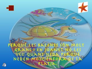 Perquè les balenes són molt grans i en JOANET no les veu quant neda perquè neden molt enfora de la platja. 