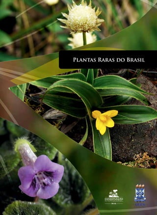 Plantas Raras do Brasil
 
