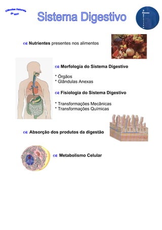 Nutrientes presentes nos alimentos




               Morfologia do Sistema Digestivo

            * Órgãos
            * Glândulas Anexas

               Fisiologia do Sistema Digestivo

            * Transformações Mecânicas
            * Transformações Químicas




Absorção dos produtos da digestão




              Metabolismo Celular
 